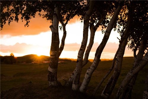 两千块也能玩出小众新天地?带你深度体验秋天最美神秘大草原