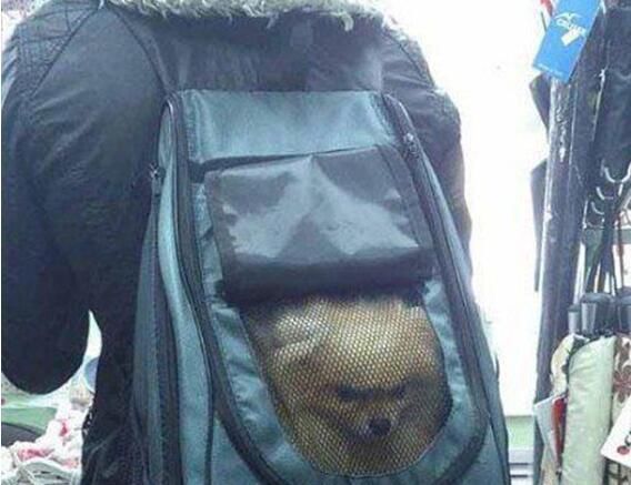  兄弟■搞笑趣图：失散多年的兄弟终于重逢了