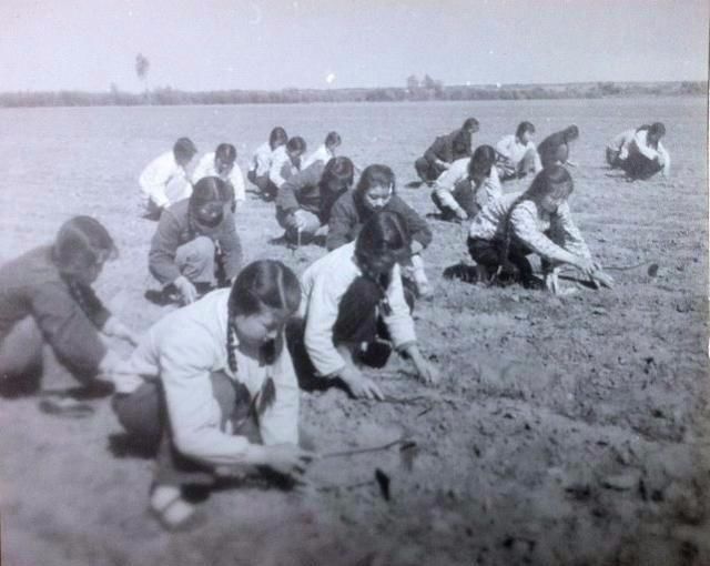 70年代老照片：让人怀念的生产队时期，每一张照片都充满了历史感