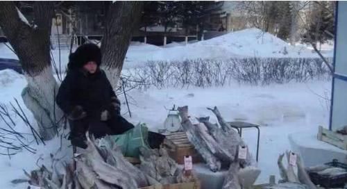  「标本」你见过东北的集市吗？冻鱼冻水果都不算啥，乌龟都被冻