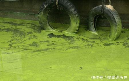 鄱阳湖、洞庭湖、太湖：中国最大的三个淡水湖“生病”了