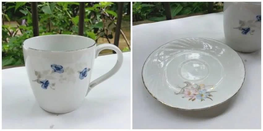  「花园」在茶杯里建花园，美到惊艳！31万网友疯狂点赞：这是我不曾见过的童话世界！