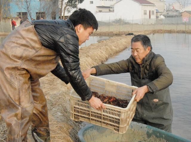 2019农村这些怪现象越来越多，农民种花养虾不种粮，这是为什么？