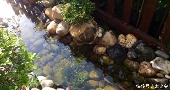  庭院|乡村的庭院，大家为什么这么喜欢