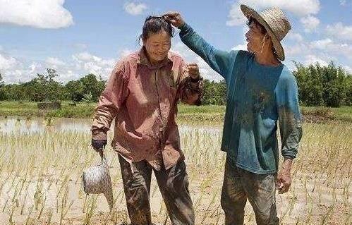  [有底]农村老人的担忧：10年后农村的地谁来种？看完心里有底了