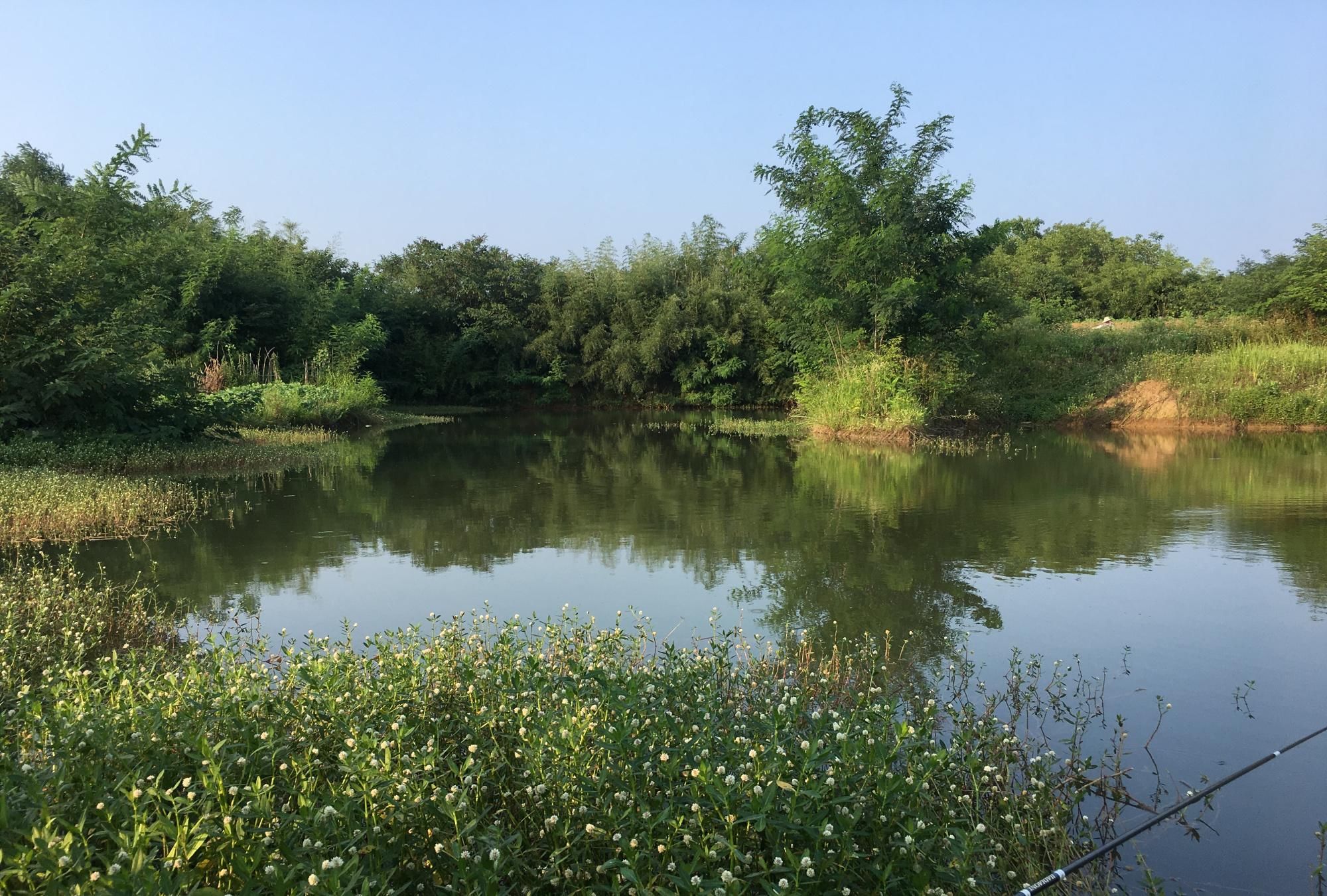  【鱼类还】初夏30度以上的晴天怎么钓鱼？把握这3种情况，鱼获不会少