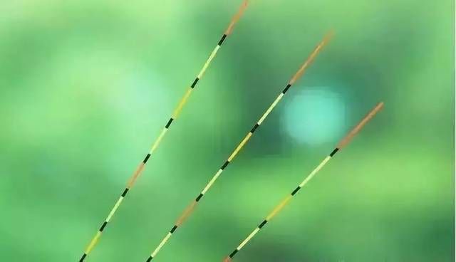  钓友：野钓调漂，只坚持“三个字”，漂相又准又狠