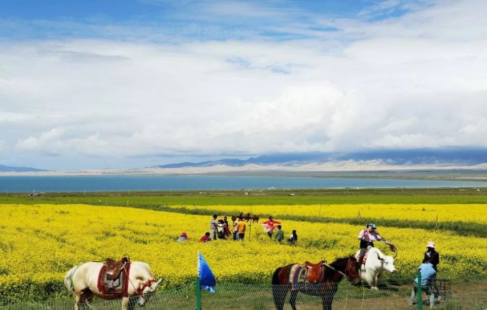 国内最适合女生旅游的10个地方，合肥女生争取30岁前都去一次!