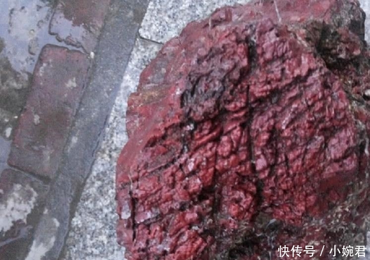 农民在山上挖到一块石头, 专家称“价值连城”出高价想买下, 可农