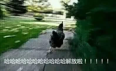  时髦：别再穿阔腿裤了，这4条裤子显瘦又显高，时髦精们都在穿！
