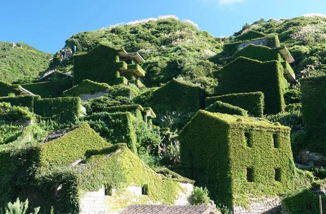 浙江这个小渔村,被人们“抛弃”20年后,如今美成了“绿野仙踪”