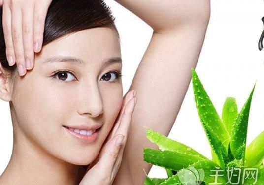  【光滑】用芦荟美容皮肤时要知道的五件事
