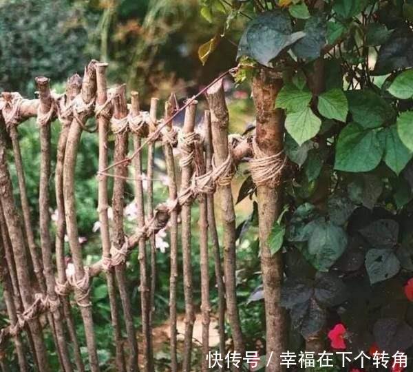  「快乐」篱笆小院住在乡村的快乐，你想体验吗！