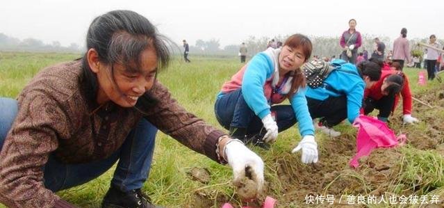 种植它十亩地，一年就能赚15万元，农民能信这样的种植项目吗