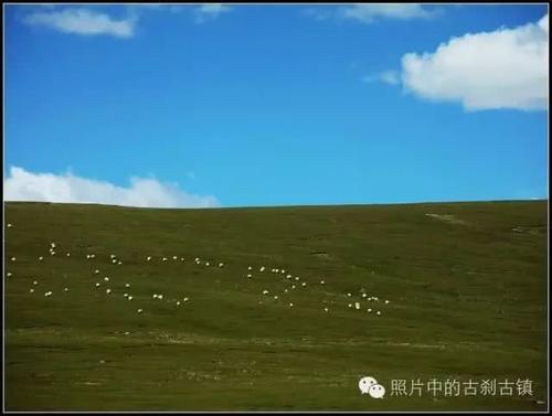 雪域西藏-那曲草原