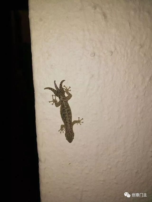 25张令人大开眼界的照片，估计你一张没见过！