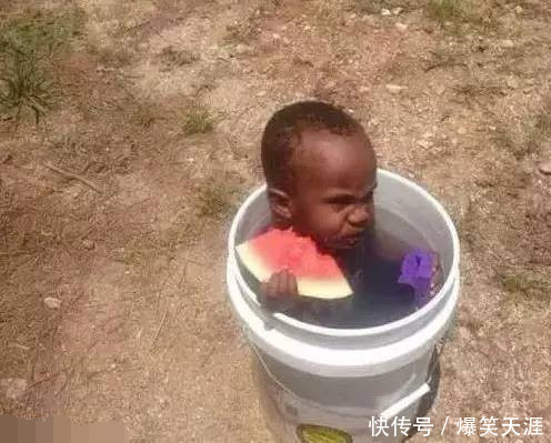 内涵段子:赶快查查你家小白菜吧,是不是被那只