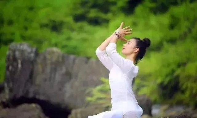 来雁荡山,用大自然的力量滋养我们的身心