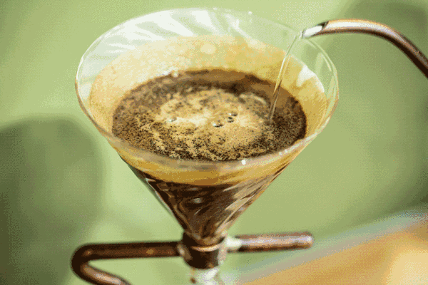 常喝咖啡能致骨质疏松且致癌？是谣言还是真相，你一定要知道！