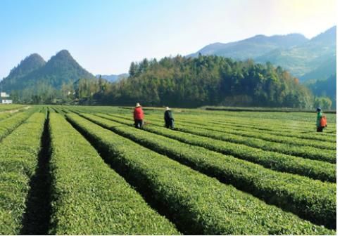  道路交通■湖北将迎来长约125公里的高铁，通车后武汉15分钟到这