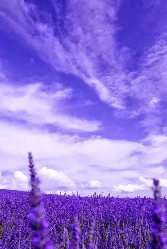 绝世照片，轰动世界