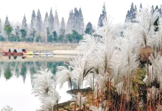 浙江不只有江南烟雨，这10个地方藏着浙江的绝美秋景