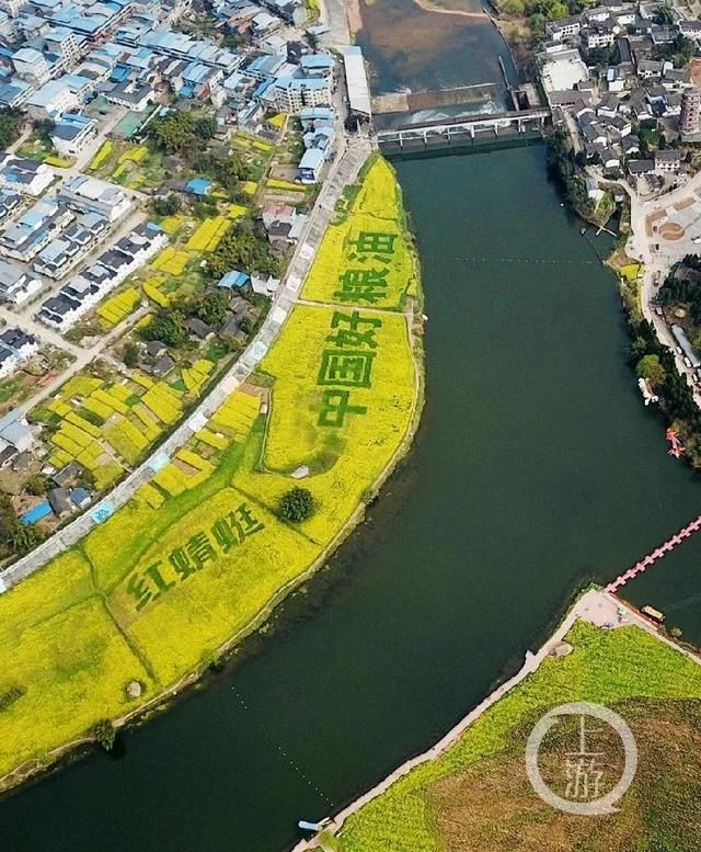 潼南万亩油菜花美翻了 快来云赏花【2020热门旅游景点】
