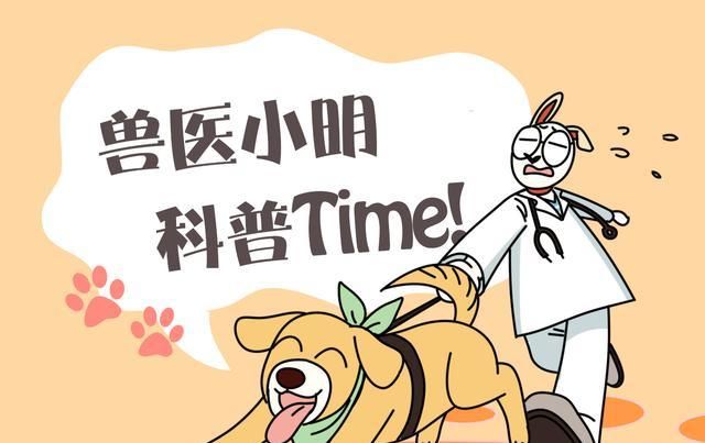  「误以为」狗狗翘着二郎腿坐在窗前，铲屎官还误以为是人，不由感叹成精了