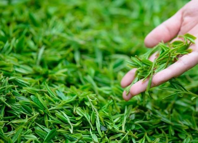 晨起脸上有这3个表现，不好意思，百万螨虫大军在脸上“做窝”了