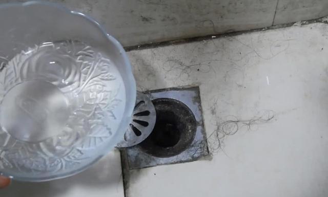「小黑」卫生间里老有小黑虫赶紧倒一碗它,异味黑虫全消灭,快告诉家人