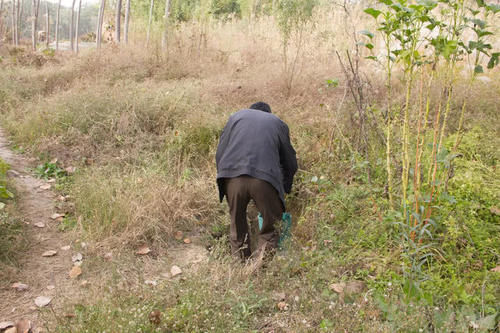  [村民]北方降雨量少却有个水上村，村民开荒种菜，掘地一尺浇水