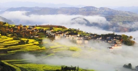  「更多」农村的新思路致富门路，有条件的不妨研究一下，开发更