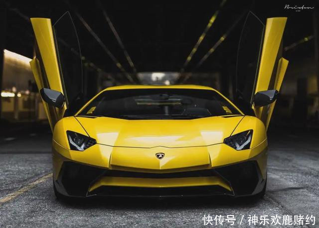 『有钱』怎么开车门最有引人注目?不得不感叹“有钱真好”!