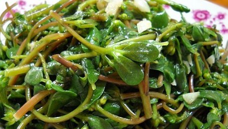  尊贵■路边的野菜竟如此“尊贵”，会给你带来益处，你知道是哪一个吗？