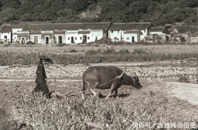  【九龙】60年代的香港九龙是什么样子堪比农村
