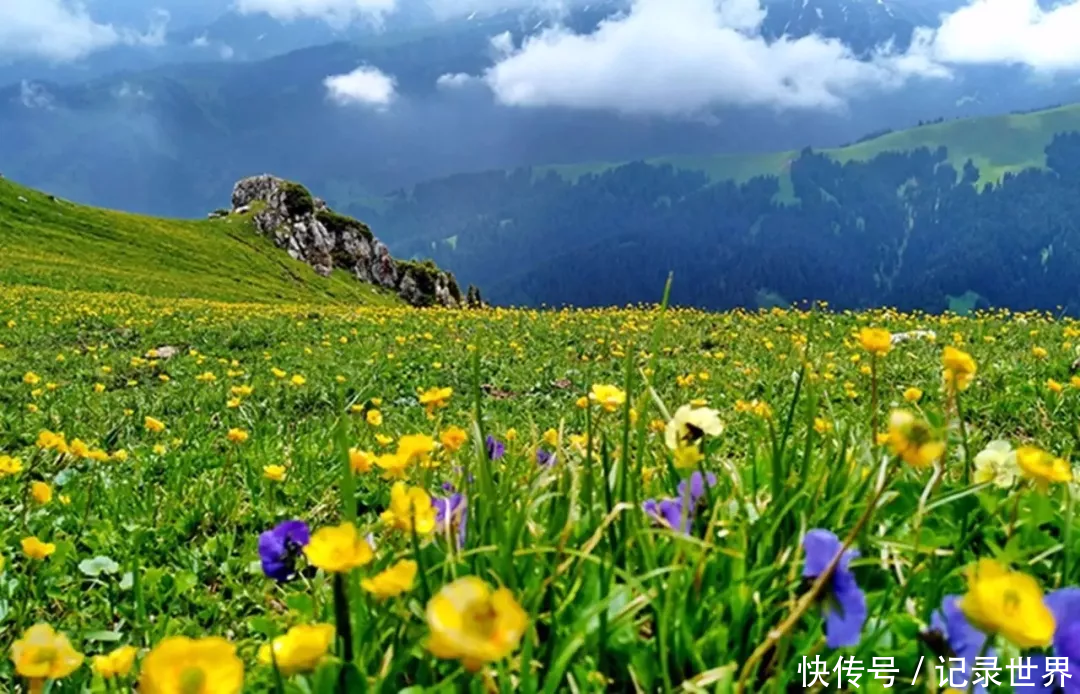 中国夏天最美的风景在哪里?你肯定不敢相信这