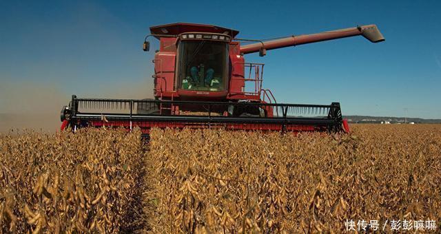 多个大豆出口国或向中国市场和人民币倾斜后,中国大豆正在崛起?