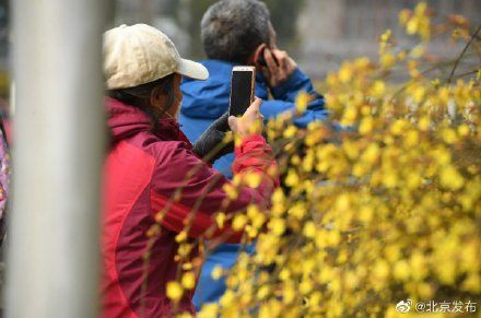  二环@北京二环，惊艳“迎春”