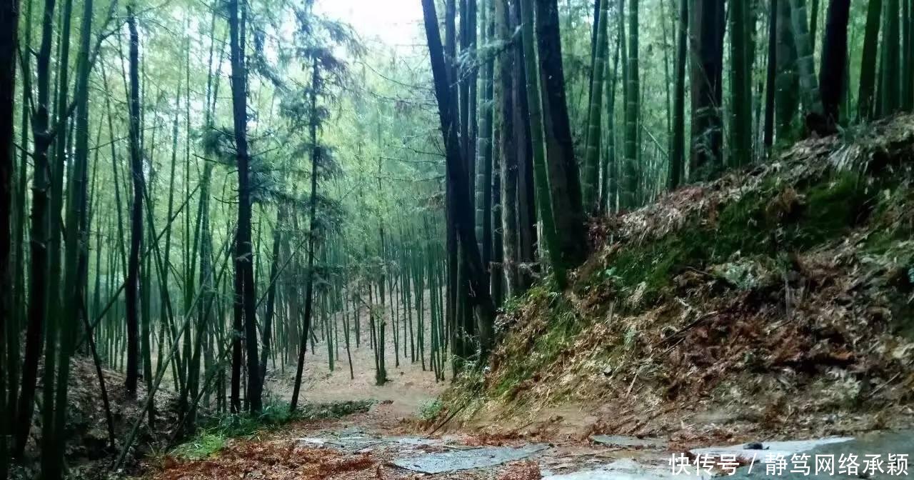 这座低调小城承包了浙江最美的春天, 清明去过两三天乡下生活~