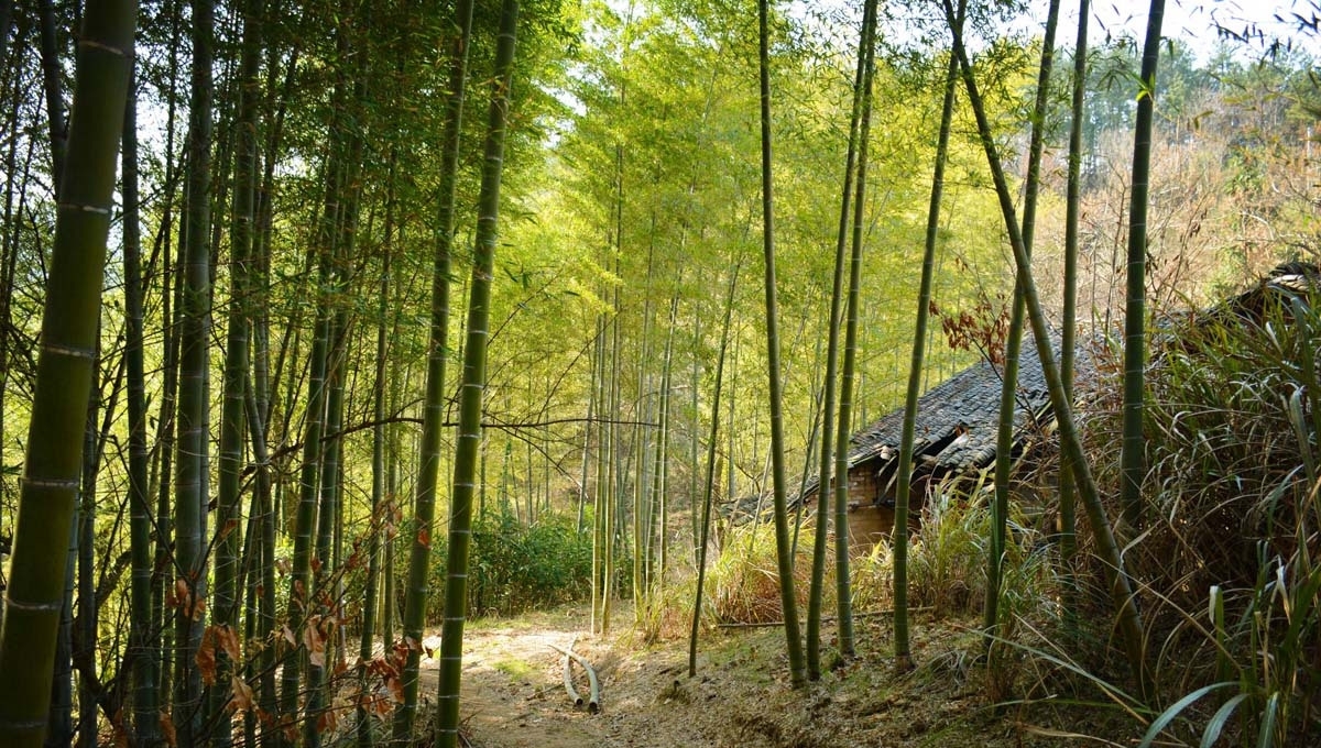 “隐藏”在安庆深山里的老屋，村民们越看越觉得可惜