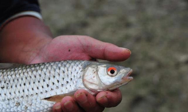  【空军】当“空军”成为常态，钓鱼人该怎么办？我是这么做的，你呢？