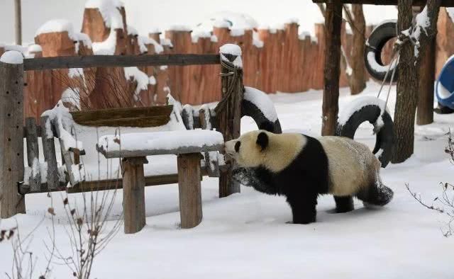 请您务必要尊重这场大雪！