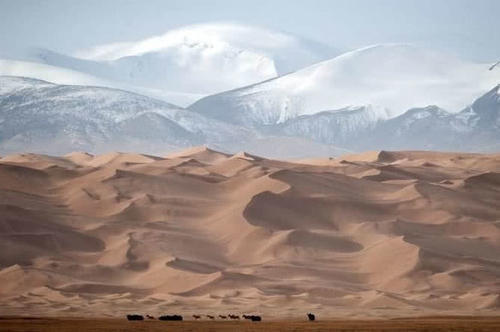 中国最大无人区：海拔6000多米人类难以存活，野生动物的天堂