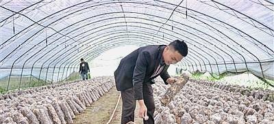 在农村，不出3年，这4类人将“涨工资，自己发工资”，人人有机会