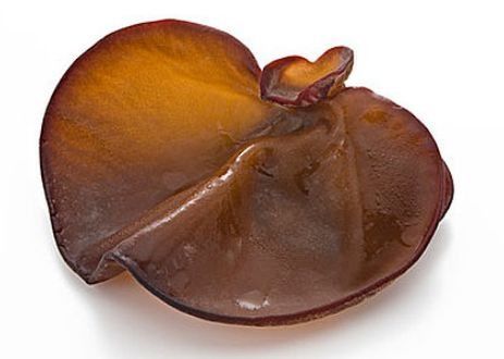 辟谣丨7岁女童吃完凉拌黑木耳中毒被送进ICU?!实验力证黑木耳是无