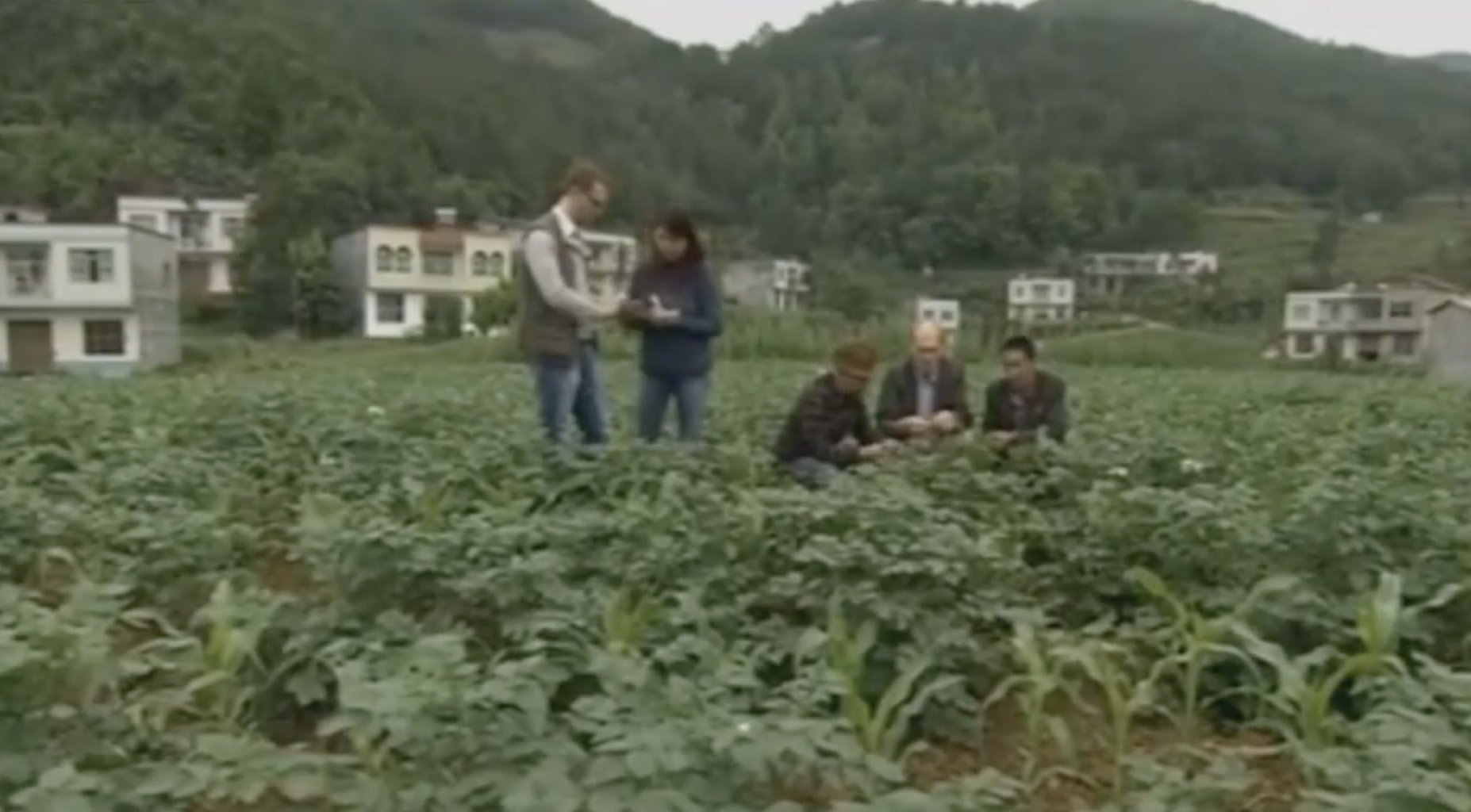  [比利时]从依赖外国技术到反向支持 中国这方面进步让比利时专家