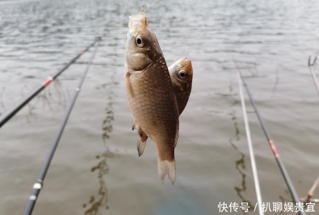  「封过」昆明禄劝封过水库：典型钓点案例，详解野钓灌溉水库钓鱼攻略