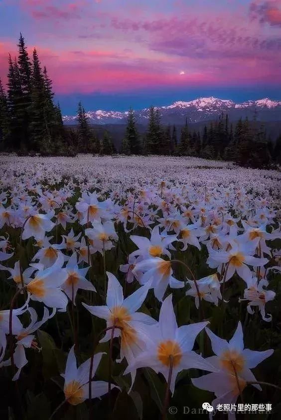 你肯定没见过的奇景照片！太震撼太壮观了！值得收藏