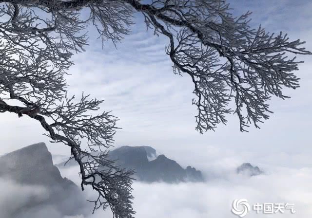 张家界天门山：瑞雪雾凇云海三景交融