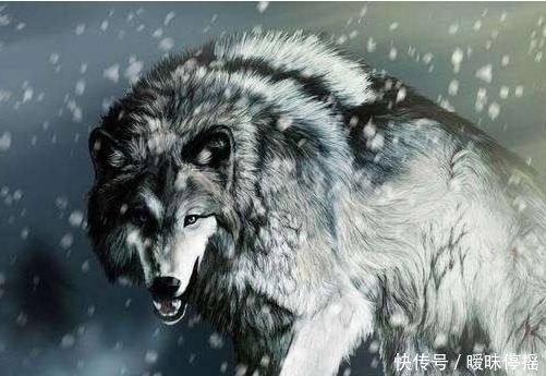 【孩子】经典的教育的方法你知道几个?